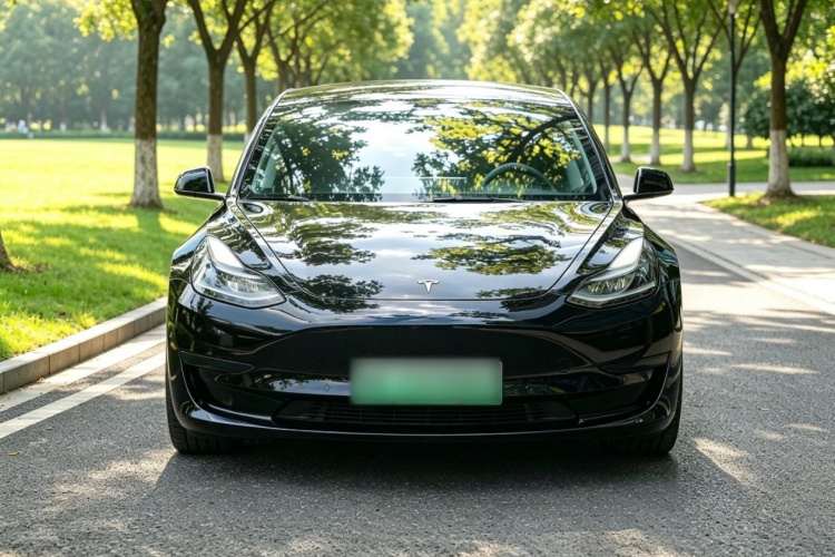 Tesla Model 3 2022 #3 Tesla Model 3 2022 car image #3