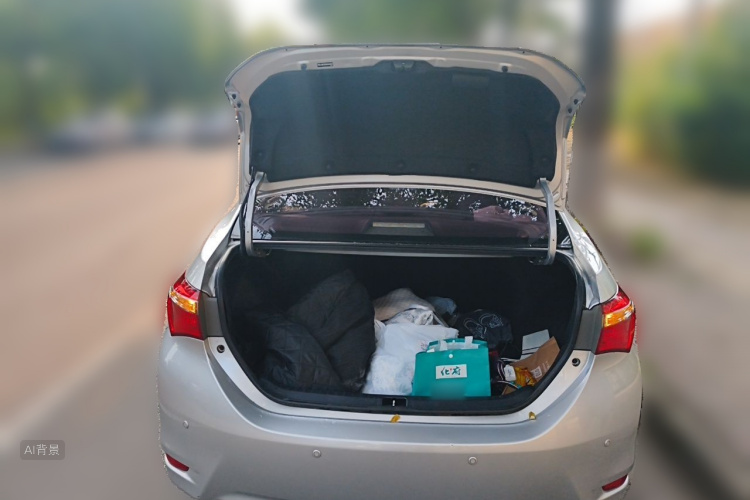 Toyota Corolla 2019 car image #21