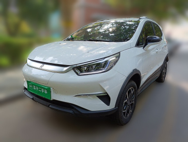 BYD Yuan Pro 2023 BYD Yuan Pro 2023 car image