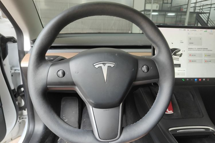 Tesla Model 3 2021 صورة سيارة #11