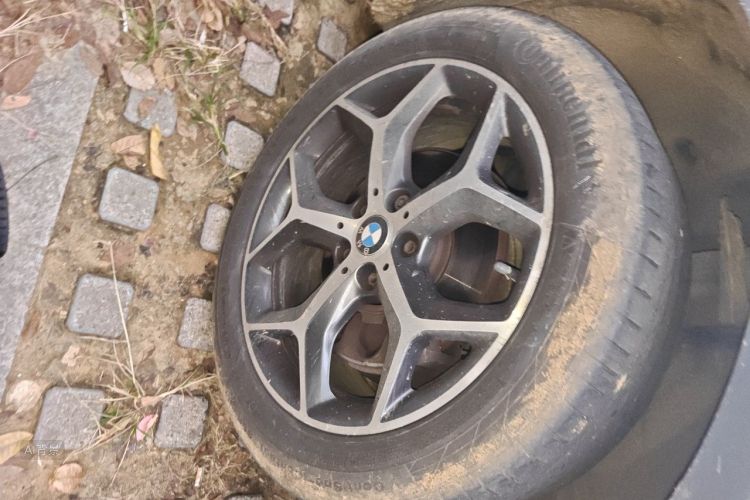 BMW X1 2017 car image #9