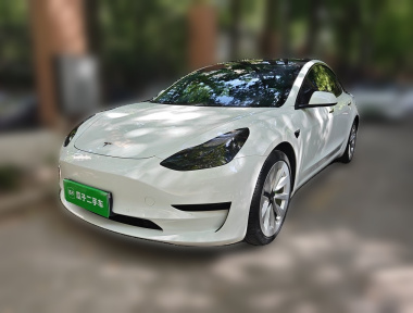 Tesla Model 3 2022 car image 