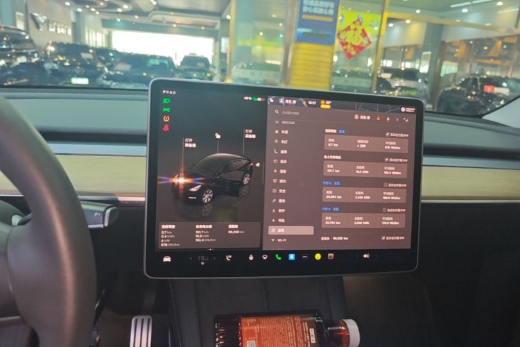 Tesla Model Y 2022 car image #13