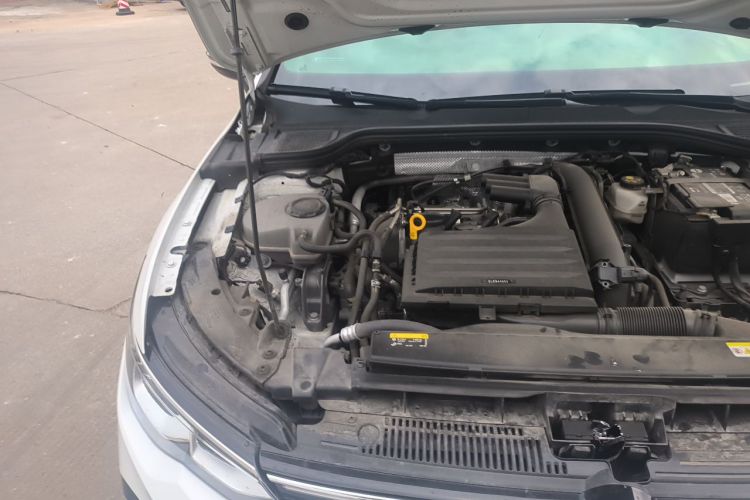 Volkswagen Golf 2024 immagine di auto #22