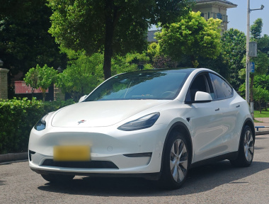Tesla Model Y 2021 Tesla Model Y 2021 immagine di auto