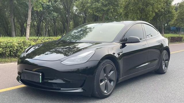 Tesla Model 3 2021 #10 Tesla Model 3 2021 car image #10