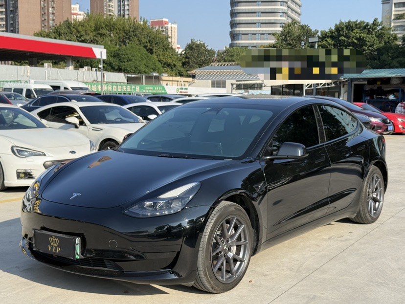 Tesla Model 3 2023 Tesla Model 3 2023 car image