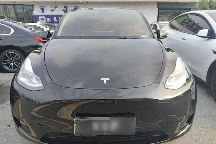 Tesla Model Y 2023 #3 Tesla Model Y 2023 car image #3