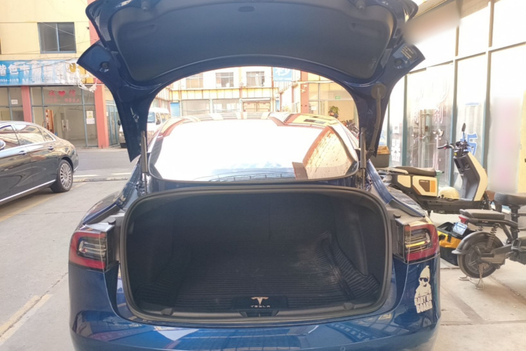 Tesla Model 3 2020 #21 Tesla Model 3 2020 car image #21