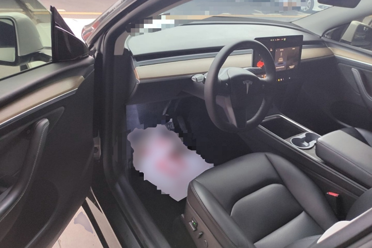 Tesla Model Y 2022 car image #16