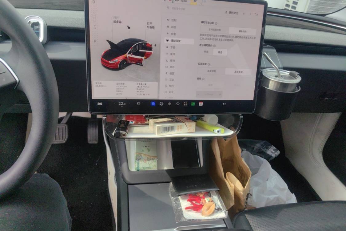 Tesla Model 3 2024 immagine di auto #27