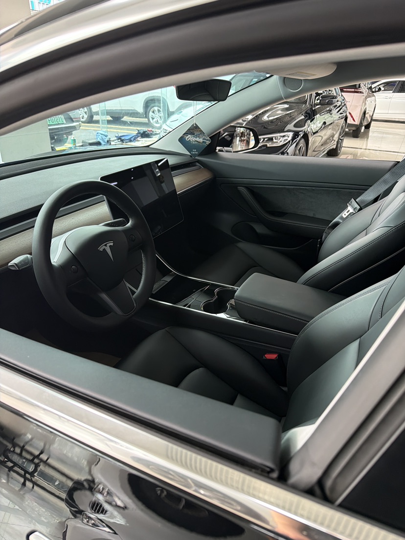 Tesla Model 3 2020 car image #2