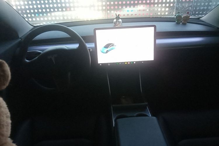 Tesla Model 3 2020 car image #11