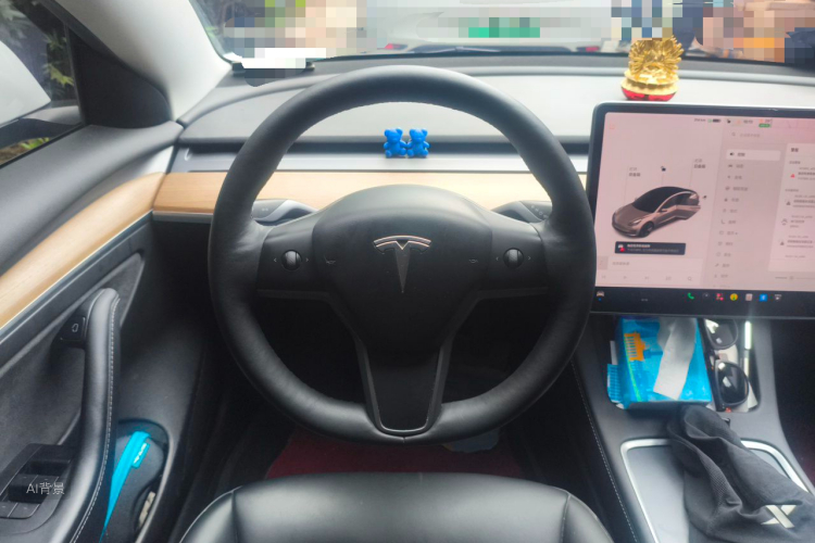 Tesla Model 3 2021 immagine di auto #12