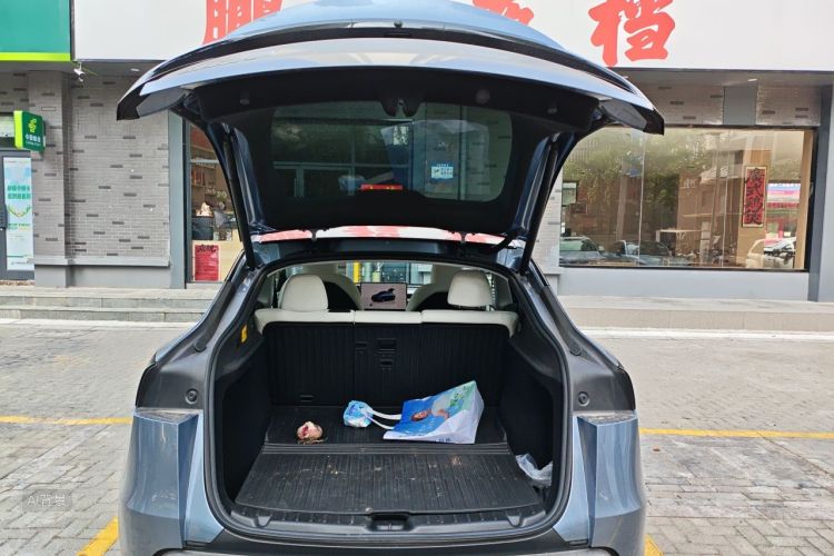 Tesla Model Y 2025 #21 Tesla Model Y 2025 car image #21