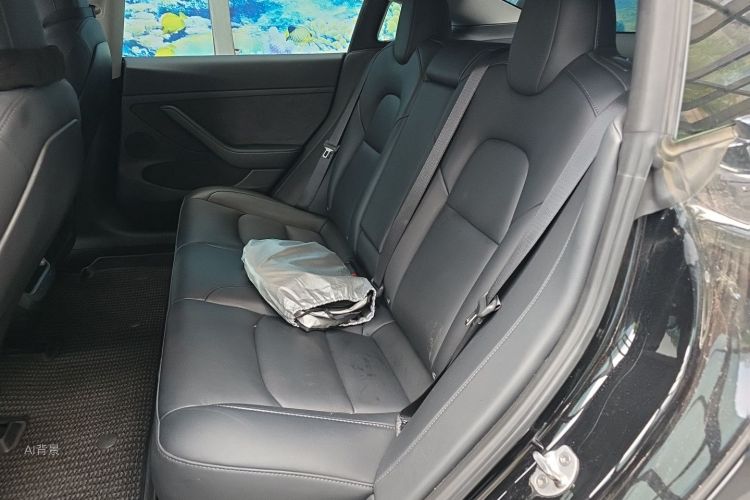 Tesla Model 3 2022 immagine di auto #19