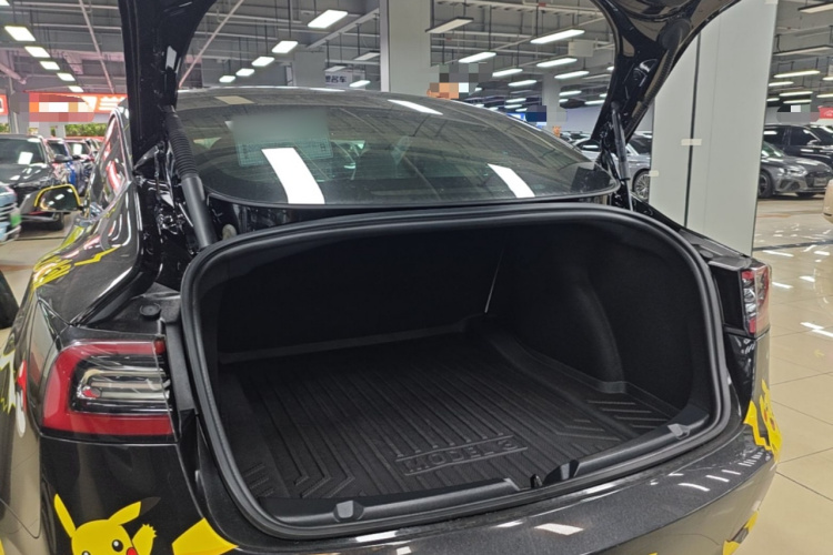 Tesla Model 3 2022 #19 Tesla Model 3 2022 immagine di auto #19
