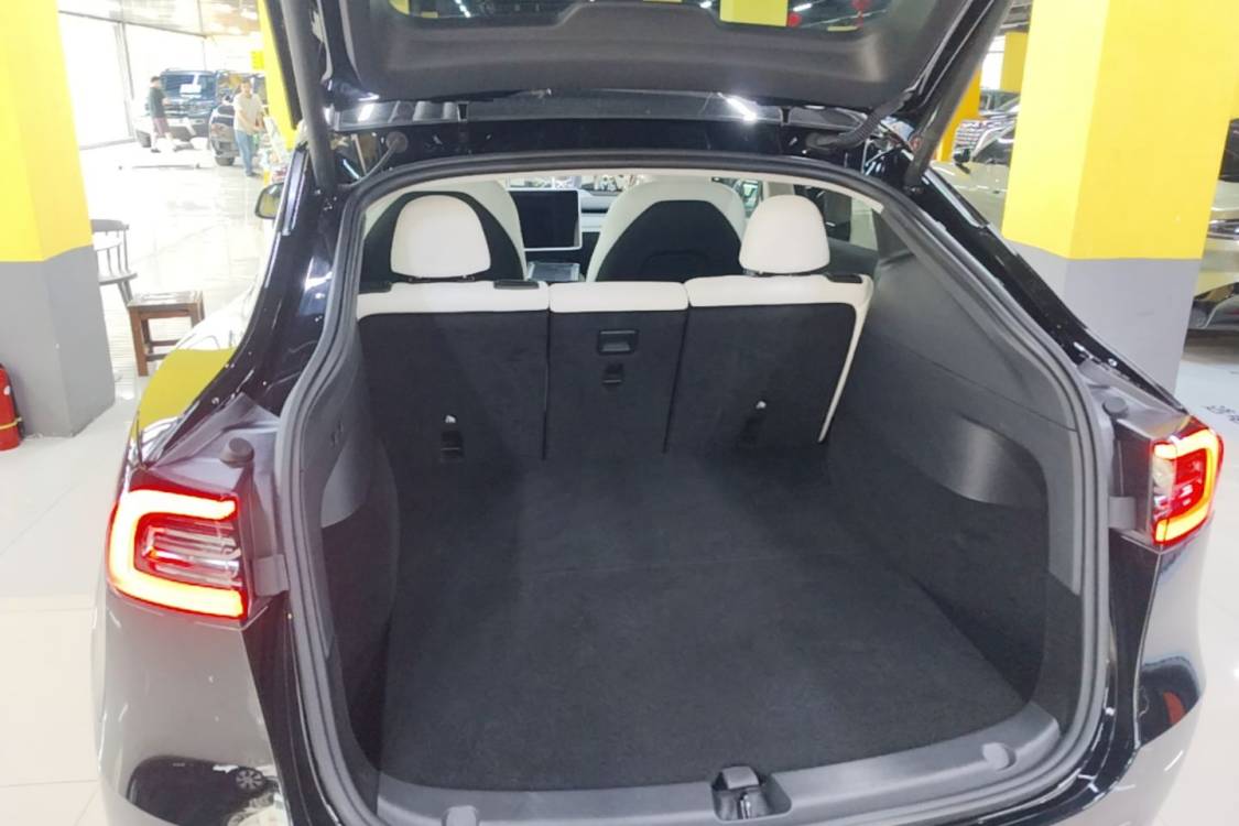 Tesla Model Y 2023 car image #10