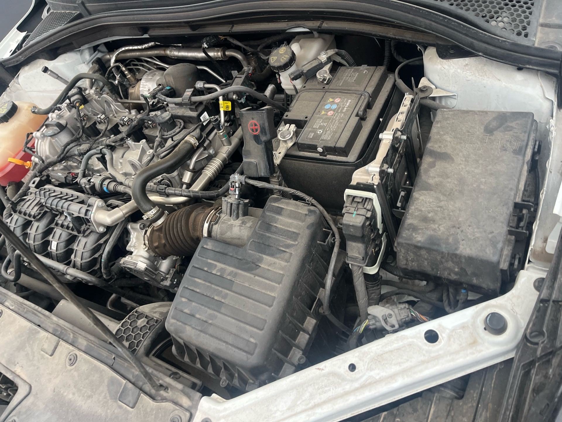 MG 5 2026 #8 MG 5 2026 image de voiture #8