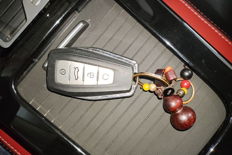 GEELY Emgrand GS 2020 car image #11