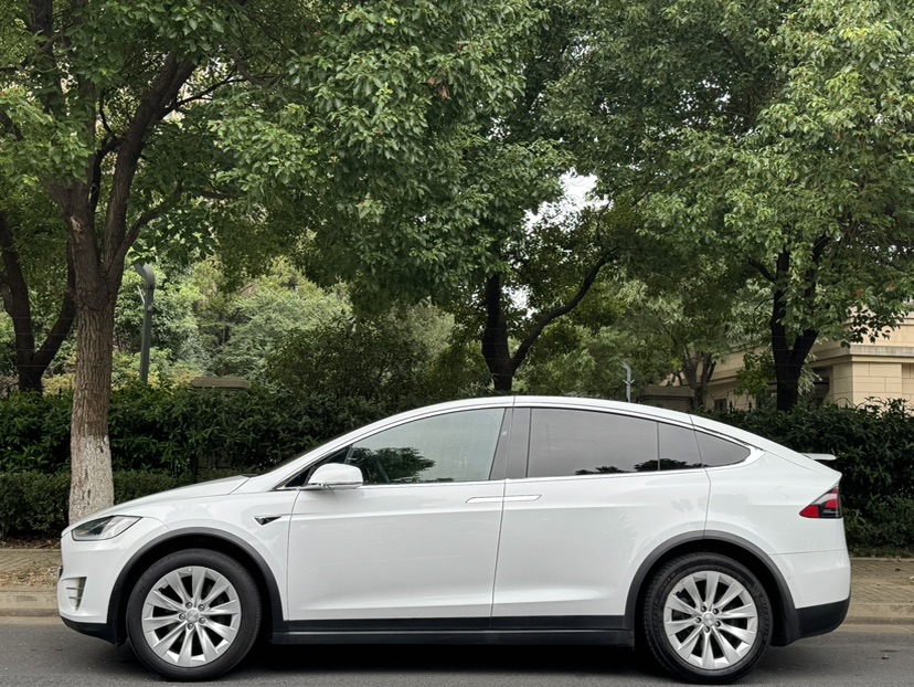 Tesla Model X 2017 car image #3
