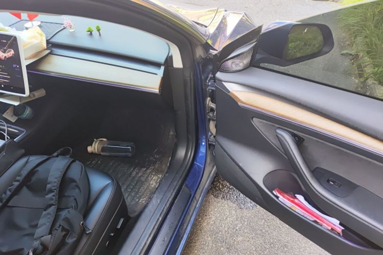 Tesla Model 3 2021 car image #21