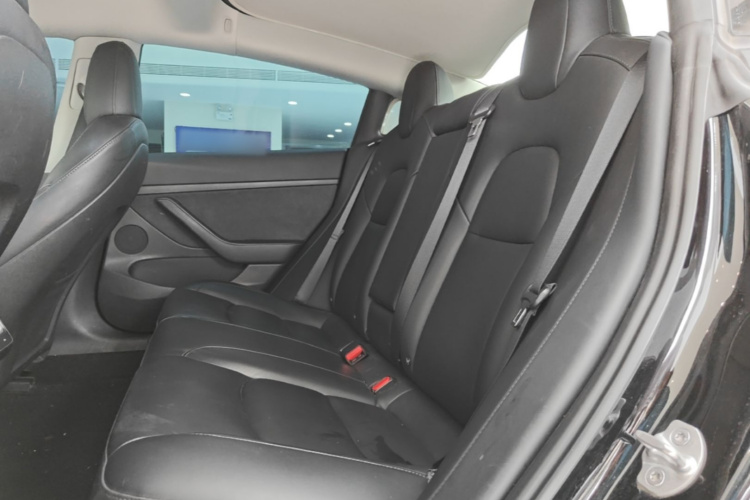 Tesla Model 3 2021 car image #17