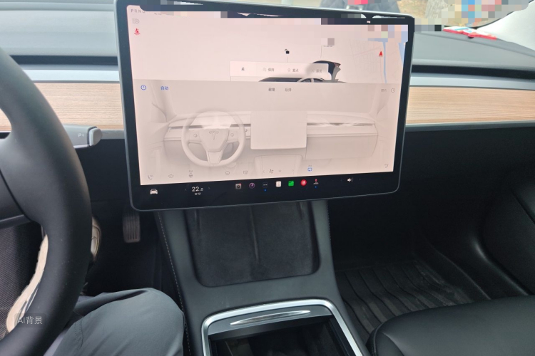 Tesla Model 3 2022 immagine di auto #15