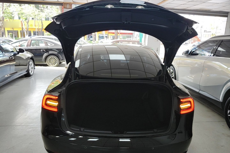 Tesla Model 3 2021 #21 Tesla Model 3 2021 car image #21