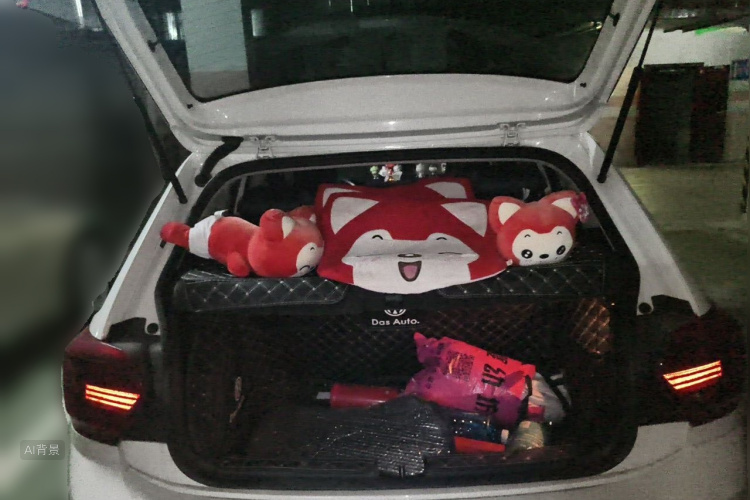 Volkswagen Polo 2021 car image #21