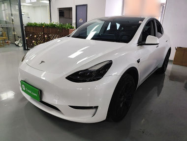 Tesla Model Y 2024 car image 