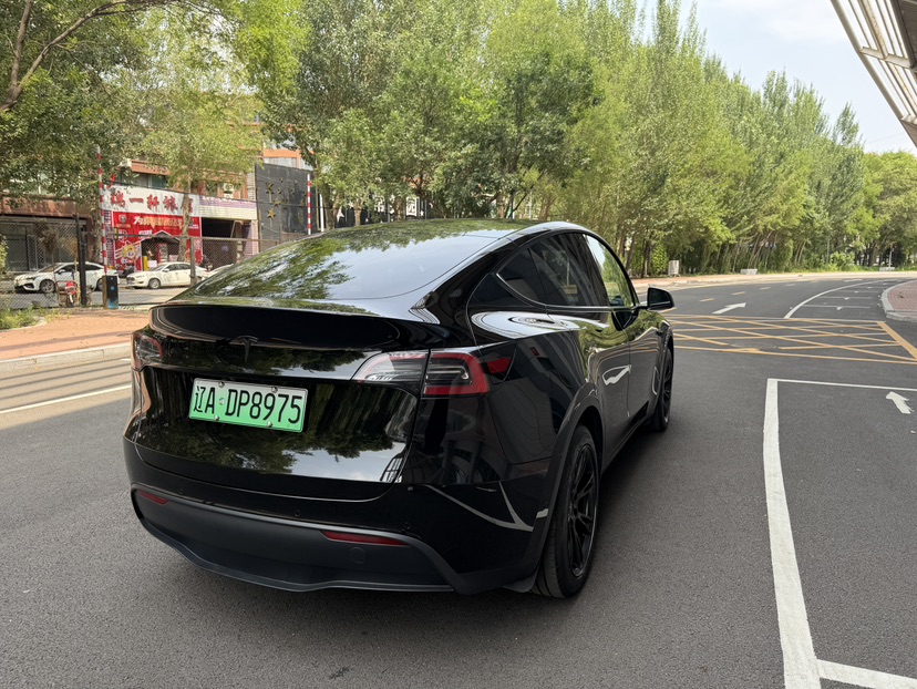 Tesla Model Y 2023 #6 Tesla Model Y 2023 car image #6