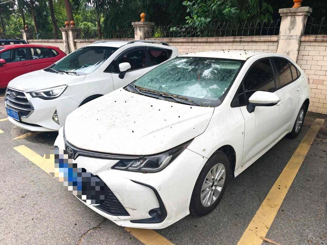 Toyota Corolla 2023 Toyota Corolla 2023 car image