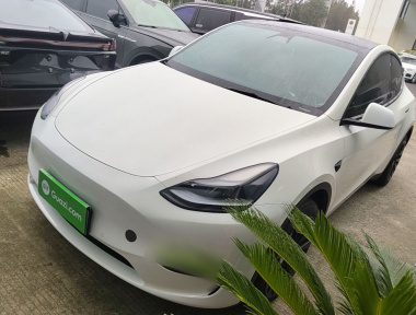Tesla Model Y 2023 car image 