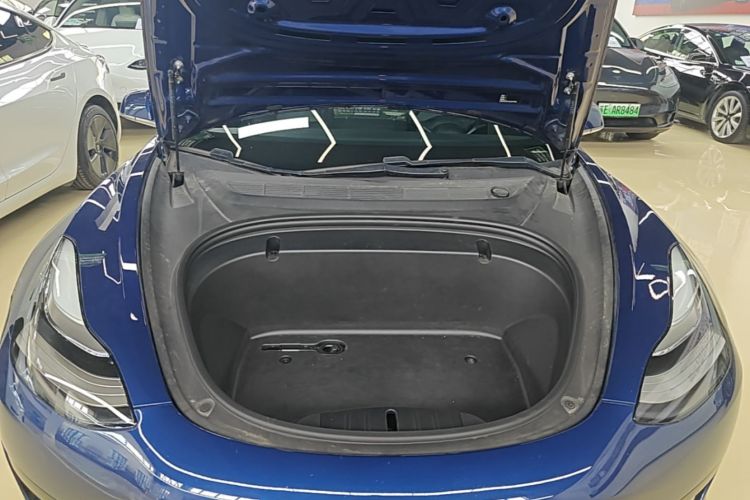 Tesla Model 3 2020 car image #20