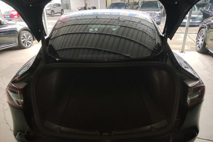 Tesla Model 3 2022 car image #19