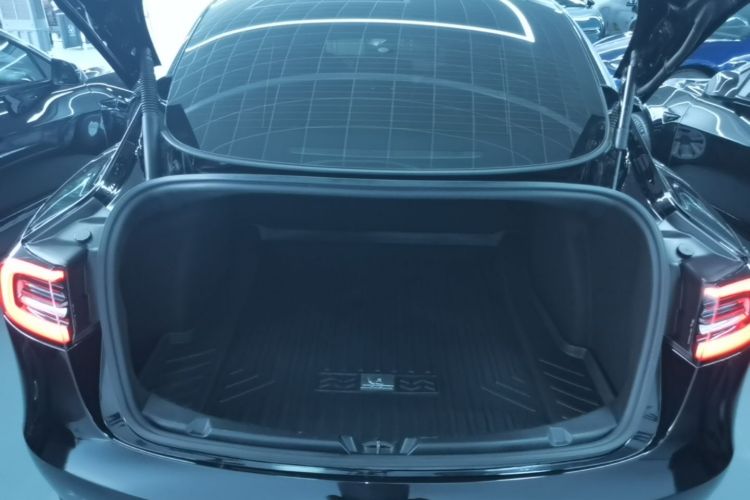 Tesla Model 3 2021 #19 Tesla Model 3 2021 car image #19