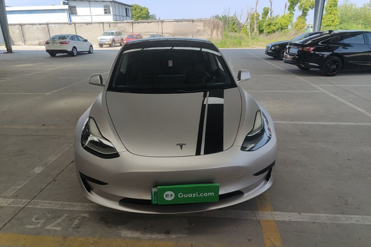 Tesla Model 3 2020 صورة سيارة #3