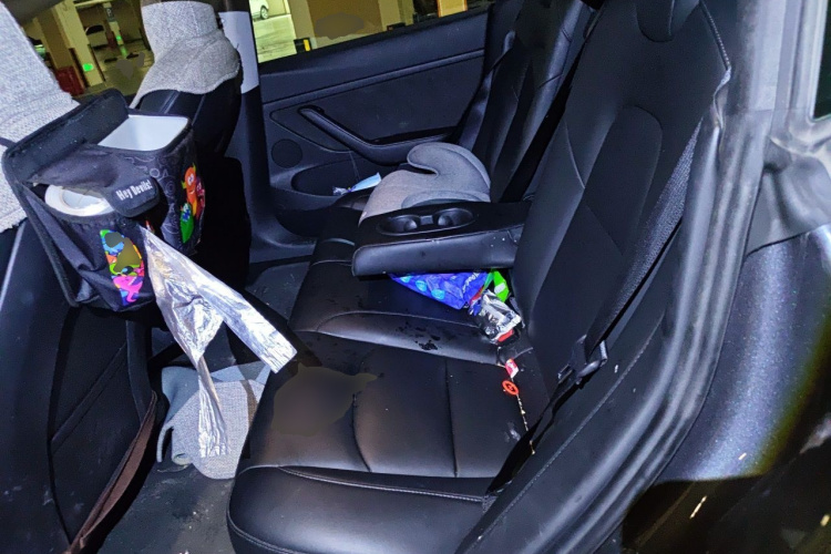 Tesla Model 3 2021 car image #14