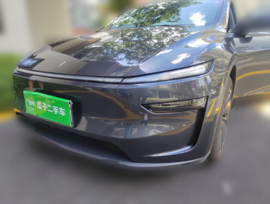 Tesla Model Y 2025 car image 