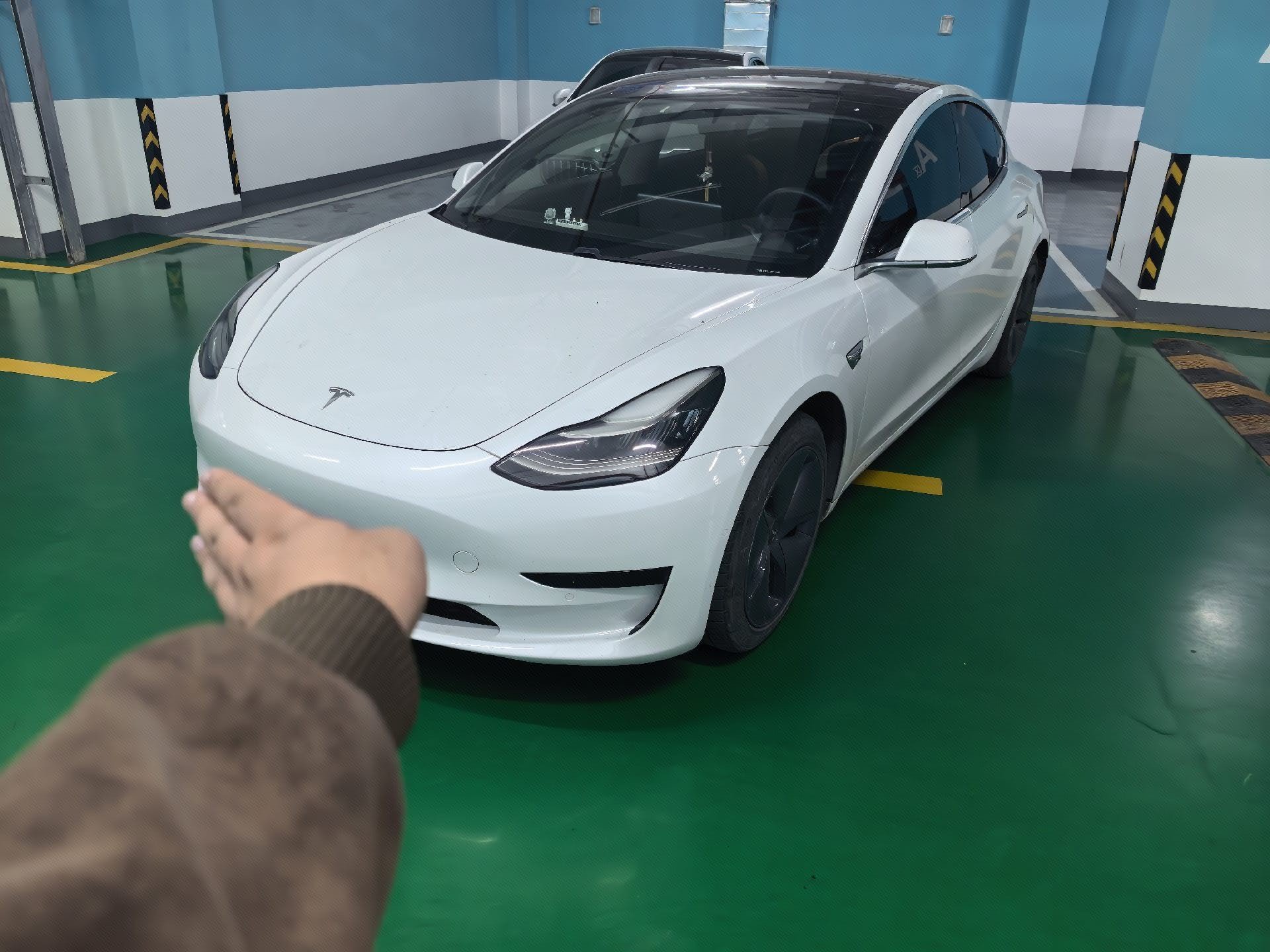 Tesla Model 3 2020 car image 