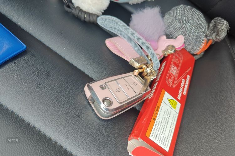 Volkswagen Tharu 2021 car image #10