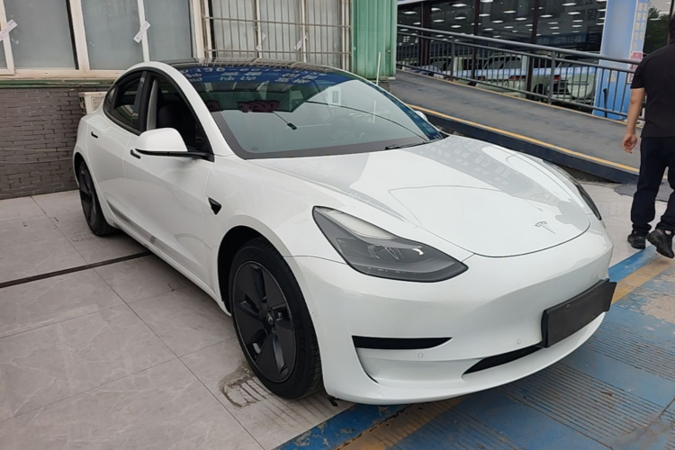 Tesla Model 3 2021 #6 Tesla Model 3 2021 car image #6