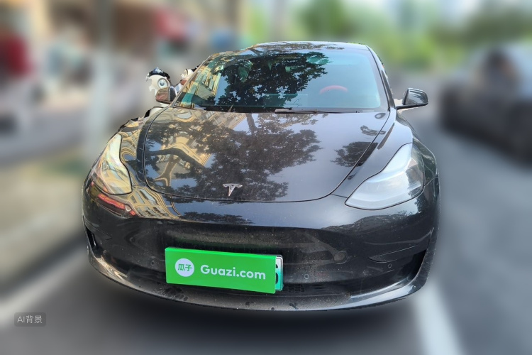 Tesla Model 3 2022 #3 Tesla Model 3 2022 car image #3