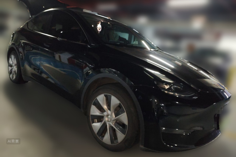 Tesla Model Y 2021 car image #4