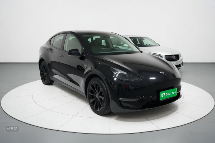 Tesla Model Y 2021 car image #4