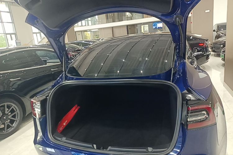Tesla Model 3 2020 car image #19