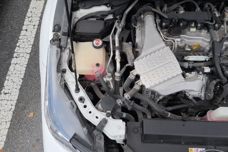 Toyota Corolla 2020 car image #22