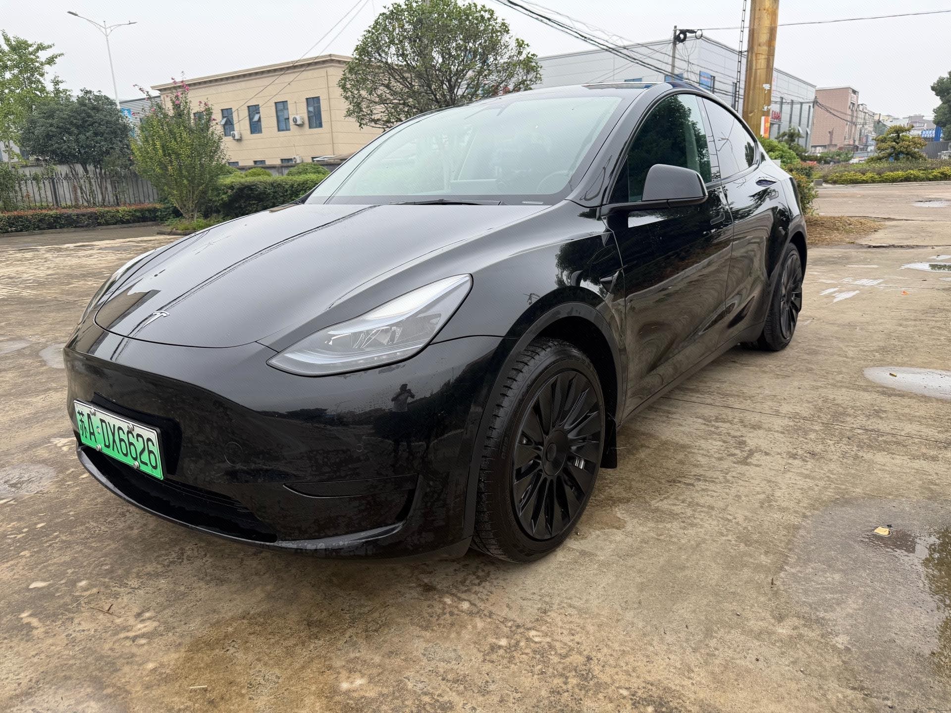 Tesla Model Y 2023 car image 