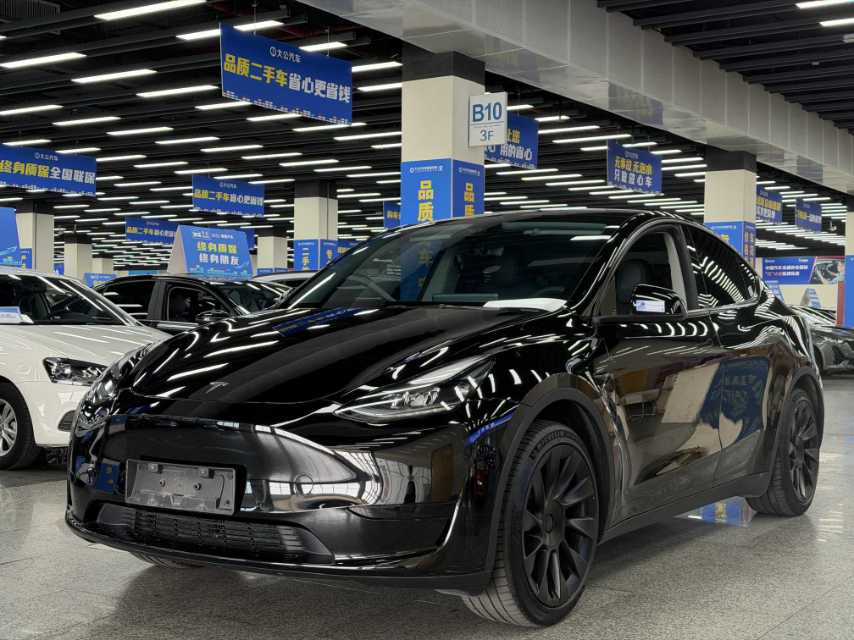 Tesla Model Y 2023 car image 